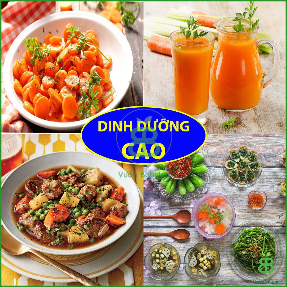 Hạt Giống Cà Rốt Cao Sản 2Gr