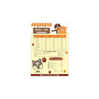 Combo 4 Menu giấy A4 ép Plastic