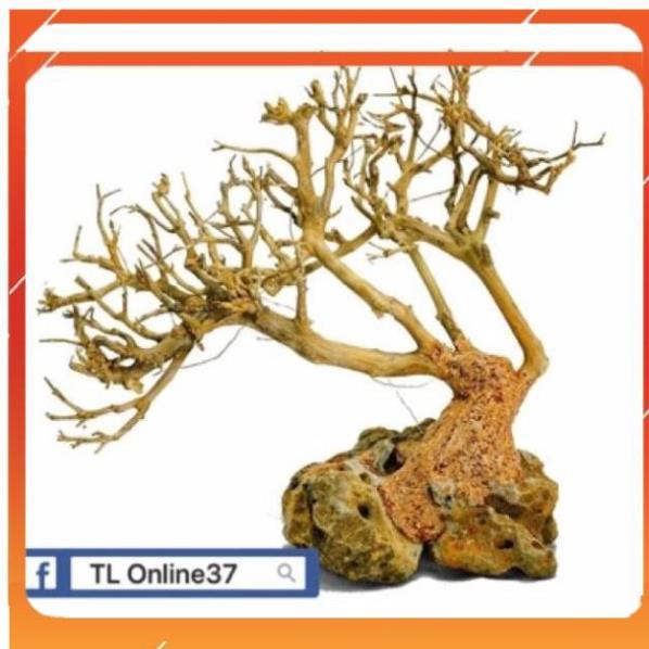 [Siêu Rẻ] Lũa bonsai đồng giá 89K [TS Online37]