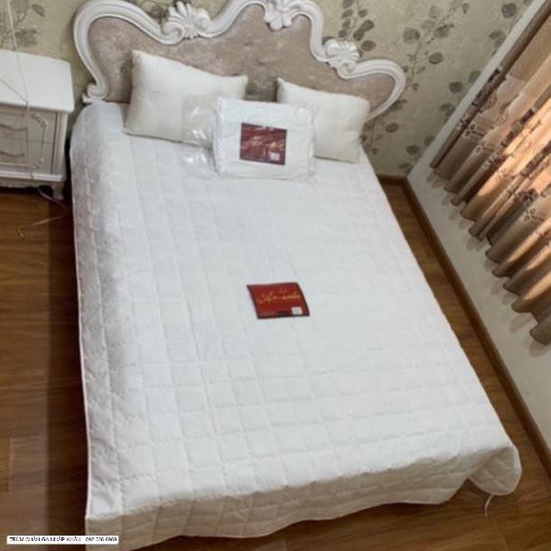 Ruột Chăn Hè Thu Amanda - Hàng cao cấp loại 1