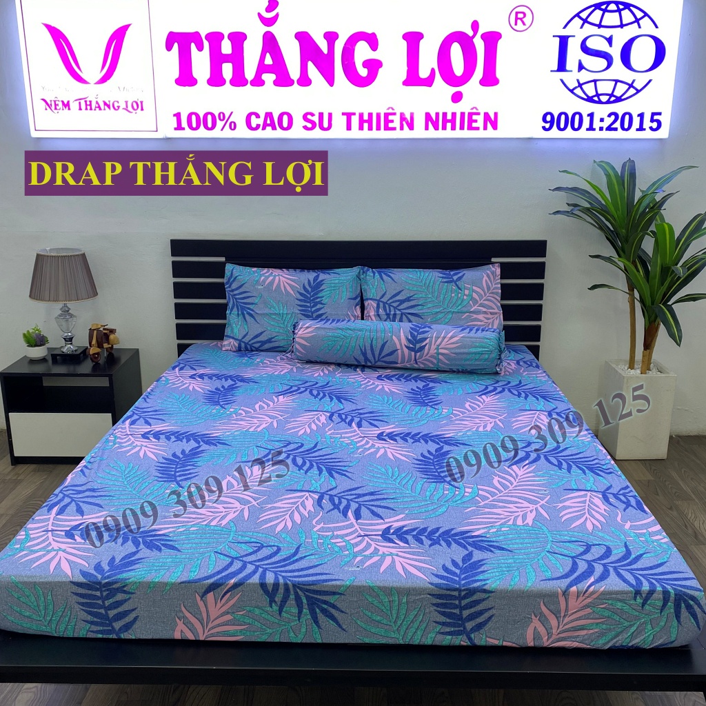 Drap cotton Thắng Lợi, ga giường chuẩn logo CTY (4 món) mát mịn mẫu LÁ LIỄU