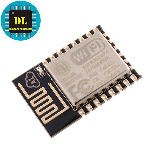 Module Wifi ESP8266 ESP012E