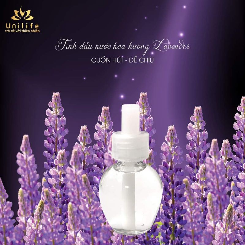 Bộ tinh dầu nước hoa Lavender - Unilife | WebRaoVat - webraovat.net.vn