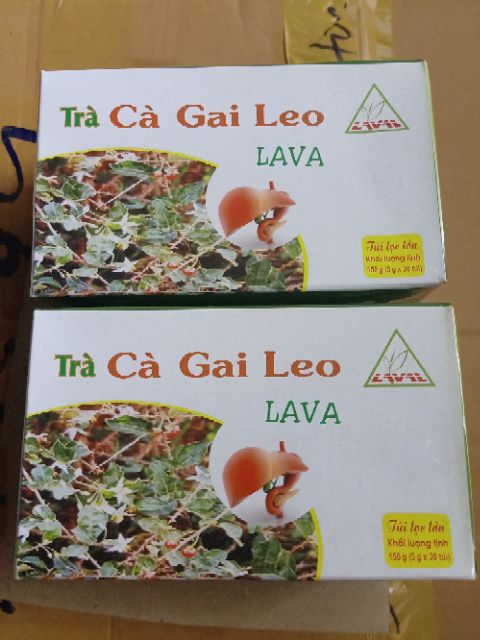 Combo 5 hộp Cà Gai Leo LaVa