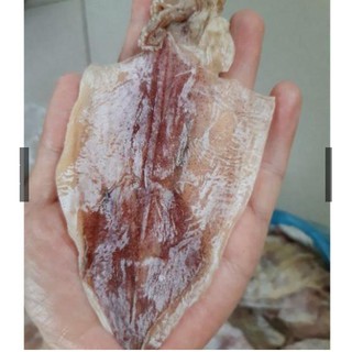 [Cực Ngon, Ngọt] 50 Con Mực Câu Khô Vân Đồn To 4 Ngón Tay, Y Hình.