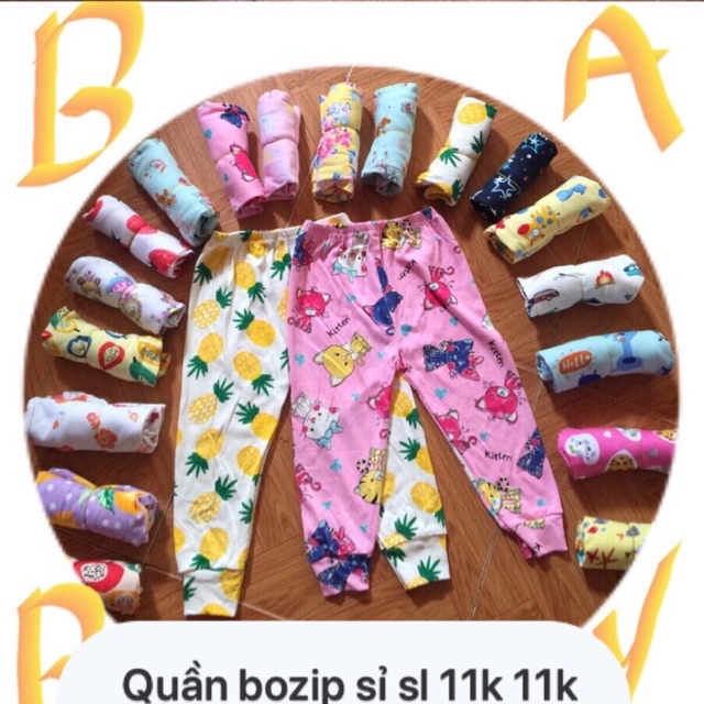 100q bozip