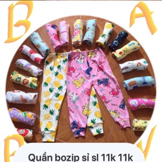 100q bozip