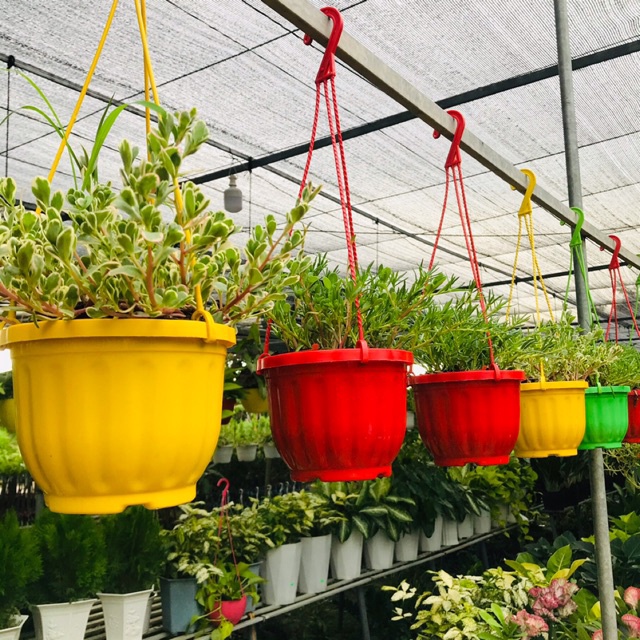Chậu treo ban công TH Garden - 10 chậu - Chậu nhựa trồng hoa treo ban công - Chậu bí nhựa cao cấp