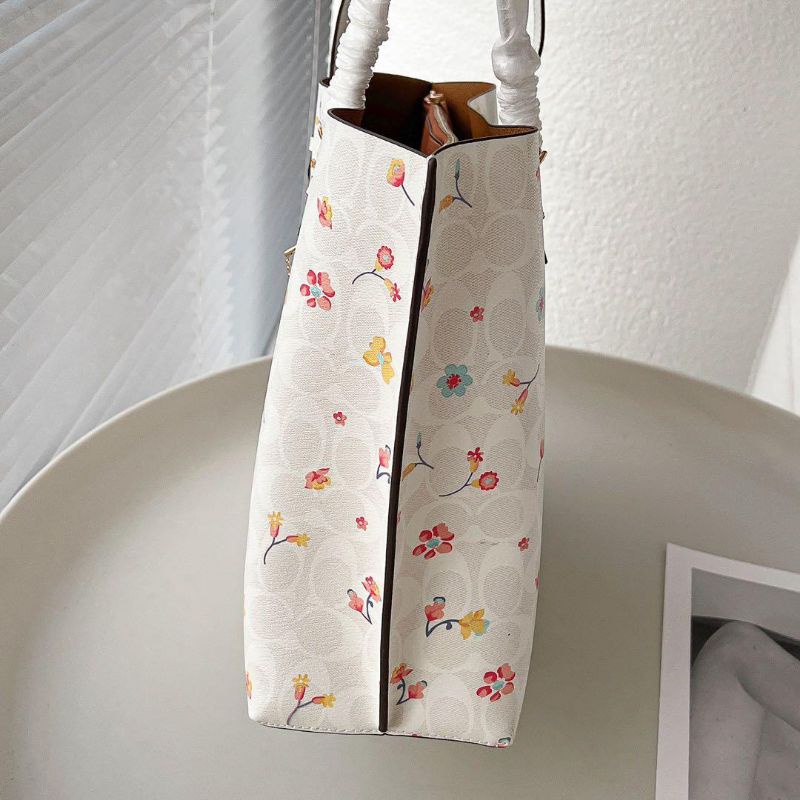 Túi Coach mollie tote