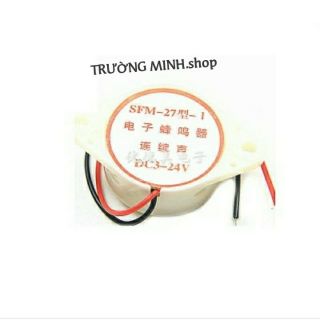 Còi báo động mini SFM-27 / 3-24V
