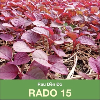 Hạt giống rau dền đỏ Rạng Đông