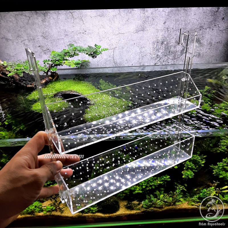 Box Treo / Kệ Treo Acrylic || Trồng Cây Thuỷ Sinh - Chứa San Hô Trang Trí Bể Cá Nước Mặn