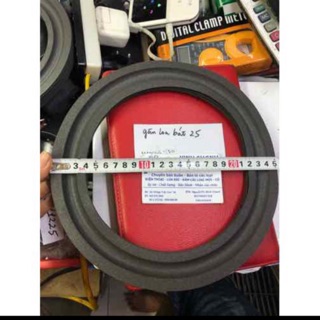 2 chiếc gân loa bass 25