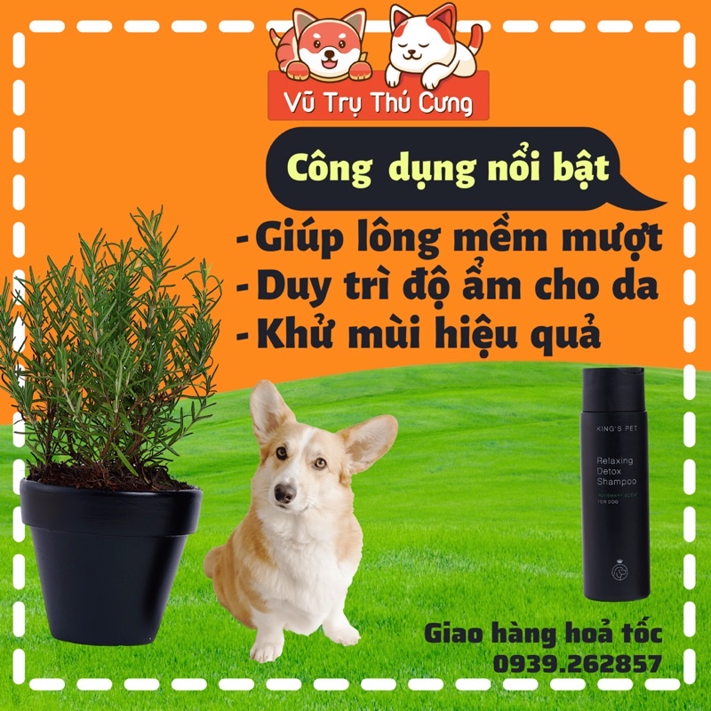 Sữa tắm khử mùi, mượt lông cho Chó King's Pet từ thiên nhiên