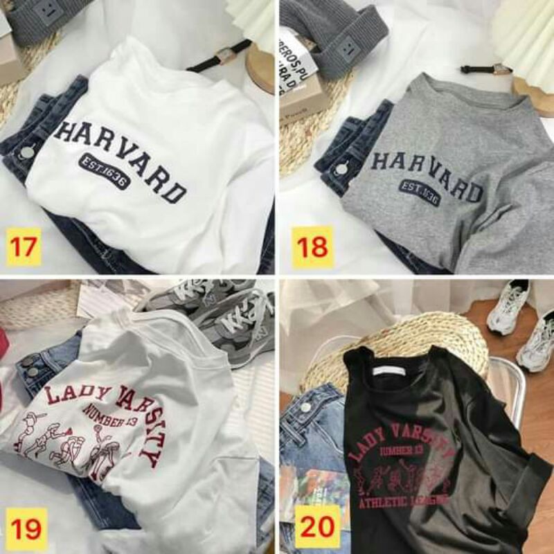 Áo thun cotton | BigBuy360 - bigbuy360.vn