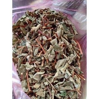 500 gram Lá Hà Thủ ô đỏ