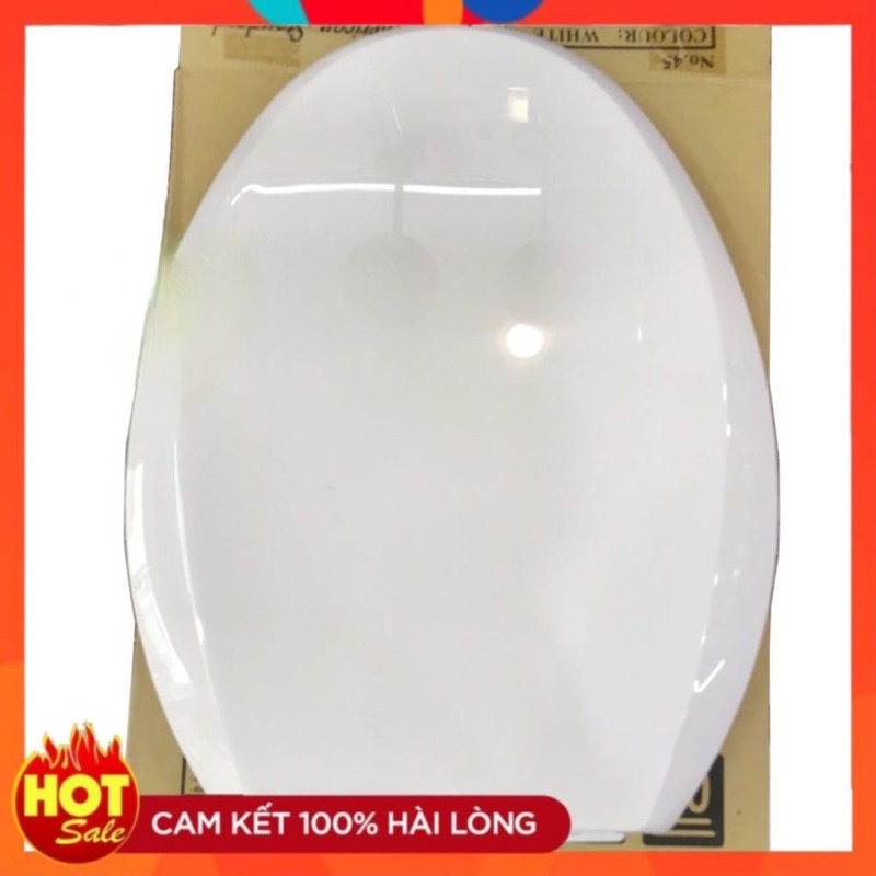 Nắp Bồn Cầu American Standard - Thay thế nắp bàn cầu Winston, Winplus VF-2314, VF-2395, VF-2396, VF-2397, VF-2398
