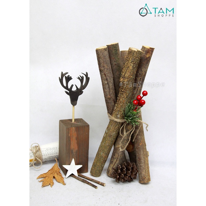 Khúc củi khô trang trí dài 40cm ngẫu nhiên W-CUI-06