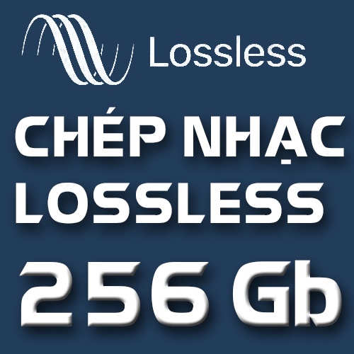 Chép nhạc chất lượng cao (nhạc lossless) - Bán kèm thiết bị lưu trữ USB - Ổ Cứng tốc độ cao