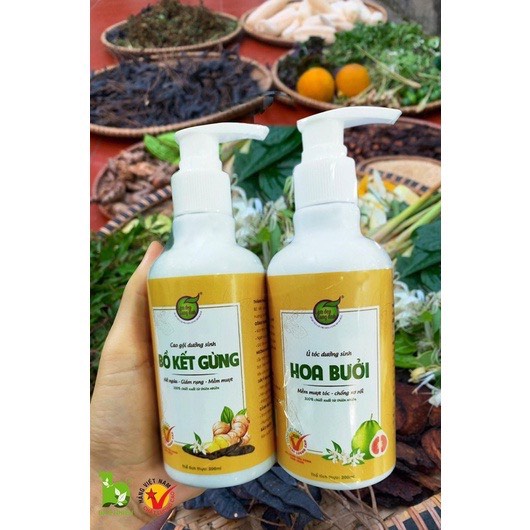 Combo gội dưỡng cao bồ kết gừng - chăm sóc tóc