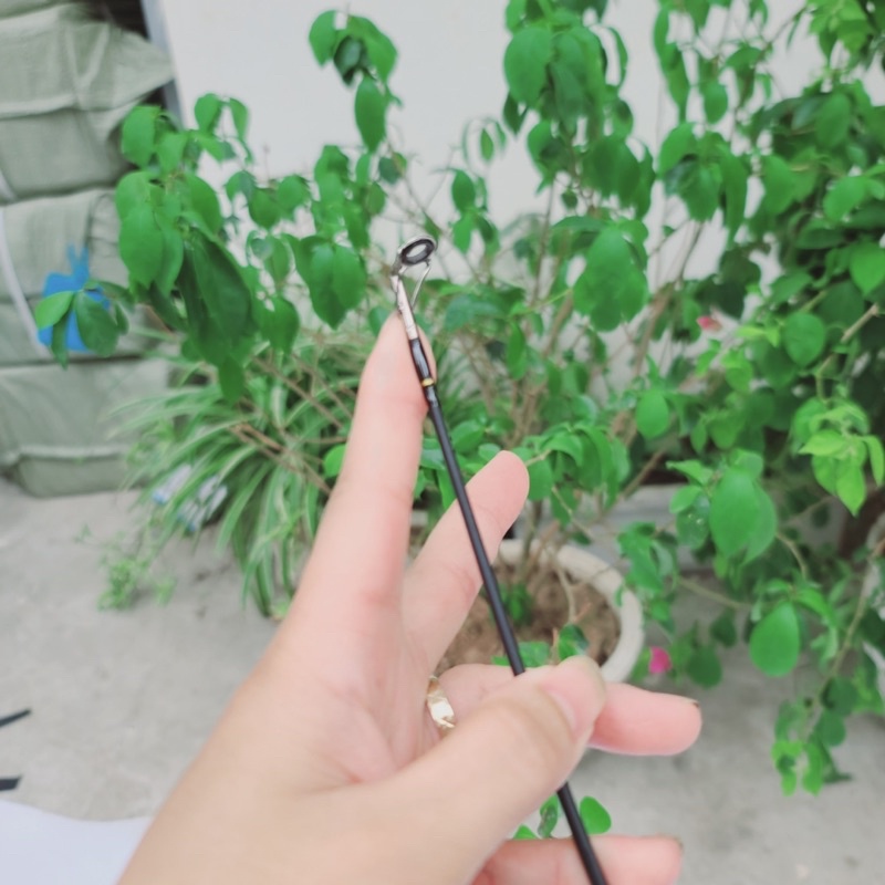 cần Daiwa Nội Địa siêu rẻ - khoẻ