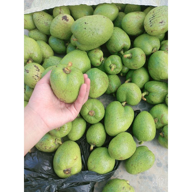 quả bình bát tươi 1kg