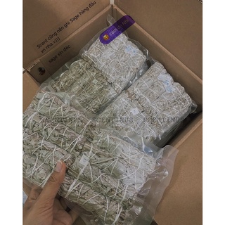 BÓ XÔ THƠM TRẮNG-THANH TẨY (WHITE SAGE)