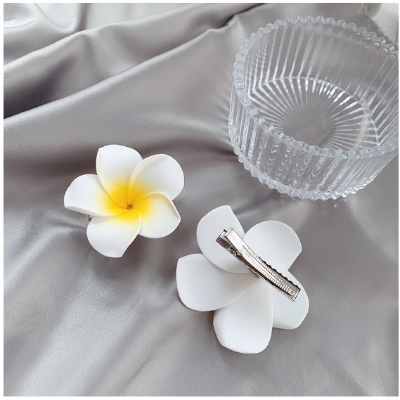 Hoa Cho Tóc Đi Biển 1 Cái Sứ