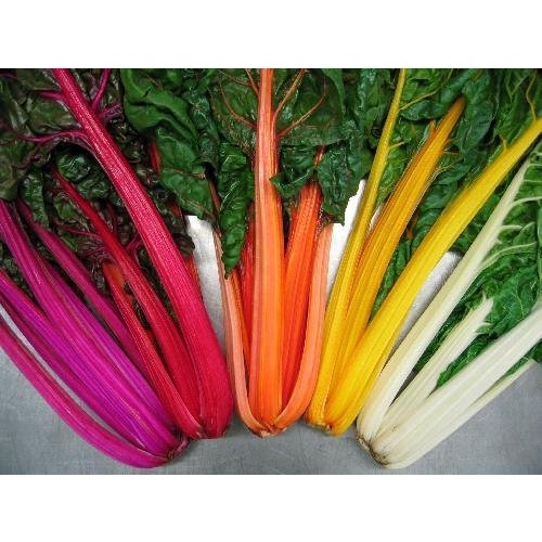 Hạt Giống Cải Cầu Vồng - Cải 7 Sắc 100 Hạt