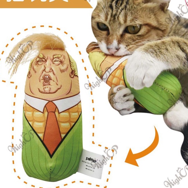 cây câu hình người lạ mắt dành cho mèo