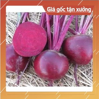 [ Hạt Giống Xịn ]  Hạt Giống Củ Dền Đỏ Ngọt Thanh, Thơm Ngon - 5gr