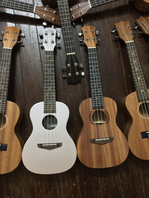 TỔNG HỢP CÁC MẪU UKULELE MỚI VỀ 8/12 GIÁ RẺ