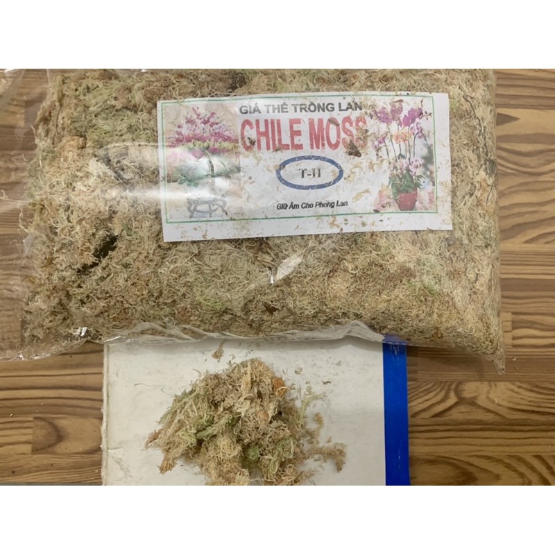 Dớn Chile trắng ( rêu sâu, dớn trắng , dớn chile) hàng xịn trắng giữ ẩm tốt gói 100gram