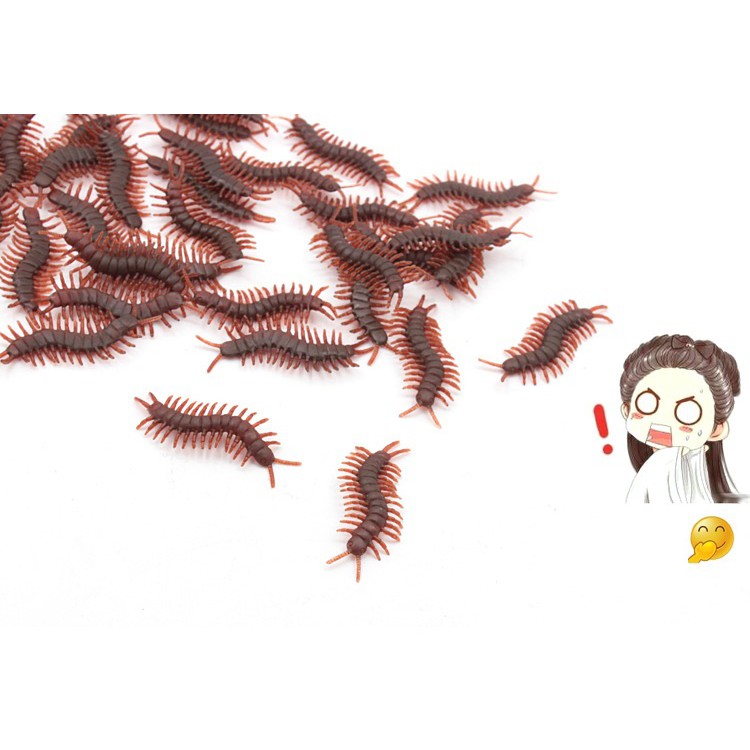 Côn Trùng Giả Gián - Rết - Bò Cạp Bằng Nhựa Như Thật Dùng Làm Đồ Chơi Khăm Siêu Rẻ