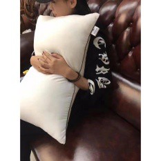 sét 2 ruột gối hilton cao cấp