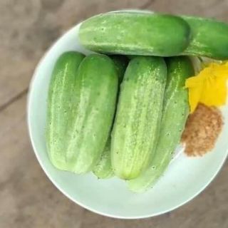Hạt giống dưa nếp .giongcaynhap