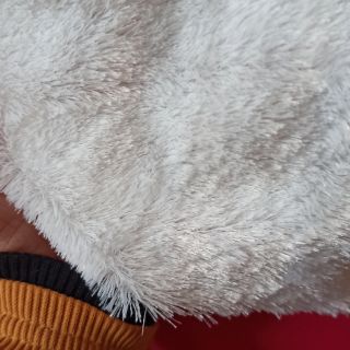 Vải lông nhung , lông dài 1 cm khổ 1.6m