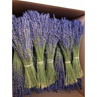 Trang trí phòng ngủ ❤️10gr Oải Hương (lavender) Pháp❤️ trang trí tiệc cưới vintage, Quà tặng