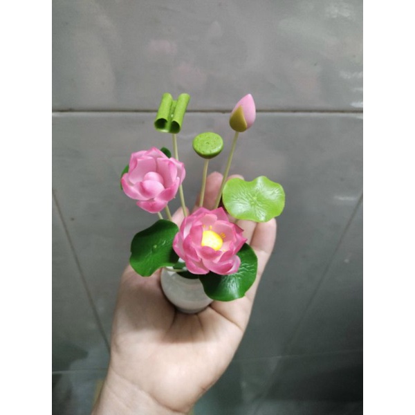 Chậu hoa sen đất sét mini