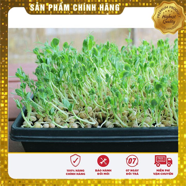 Hạt Giống Rau Mầm Đậu Hà Lan ( 50 gram)