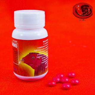Mutivitamins thuốc nuôi cho gà đá 100 viên - thuốc gà đá a long