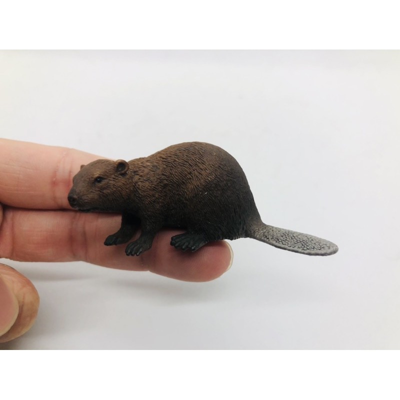 Mô hình động vật , đồ chơi con vật Schleich chính hãng Hải ly 14693 - Schleich House