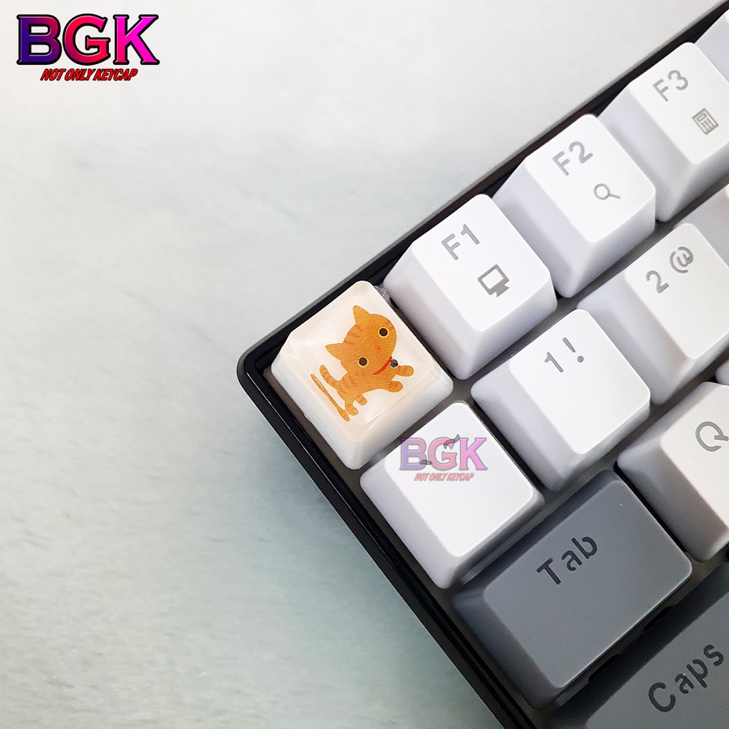 Keycap Lẻ Artisan OEM Profile Chủ Đề Những Chú Mèo Cute 1 ( cast resi, keycap resin độc lạ )