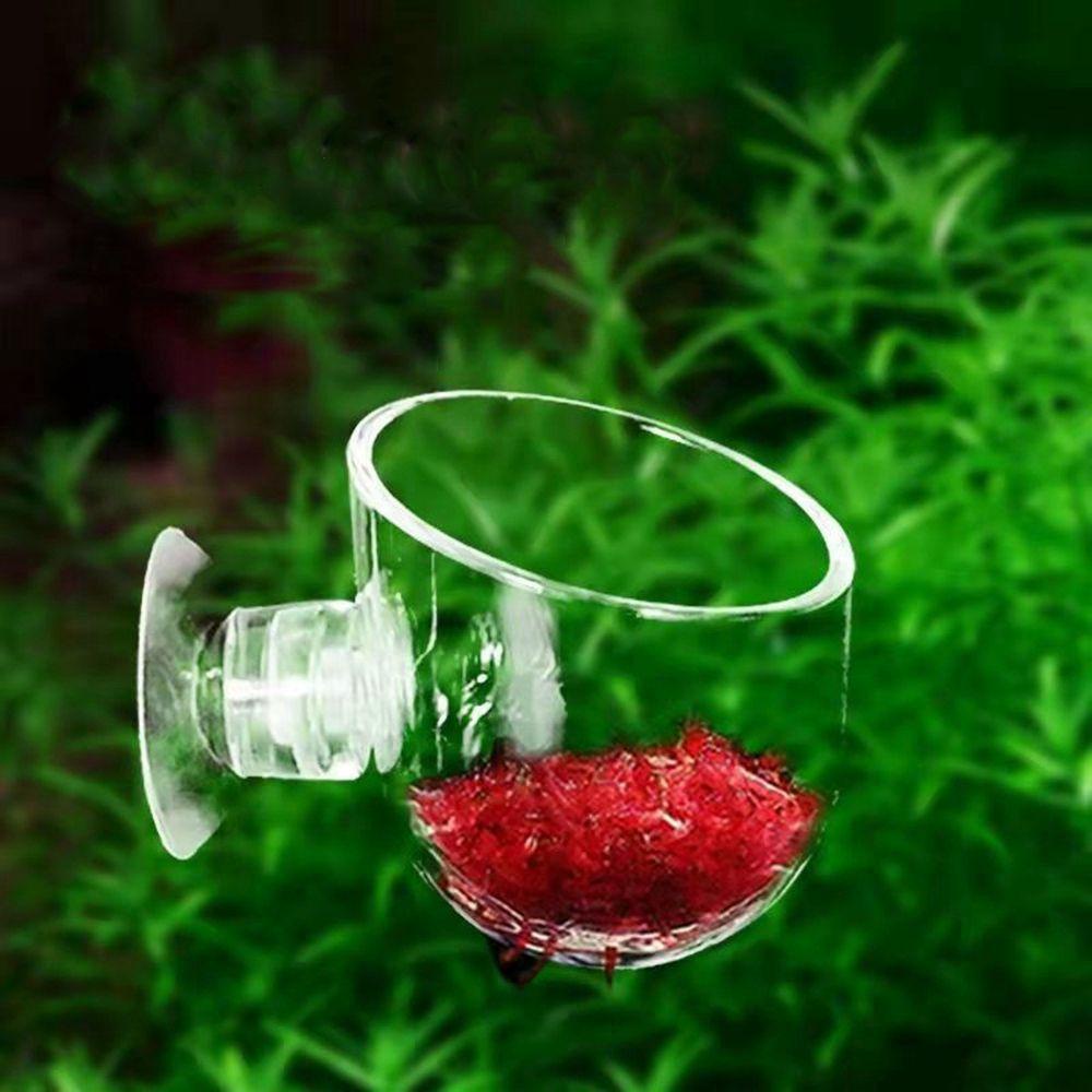 Epoch Bình Trồng Cây Bằng Acrylic Dành Cho Bể Cá