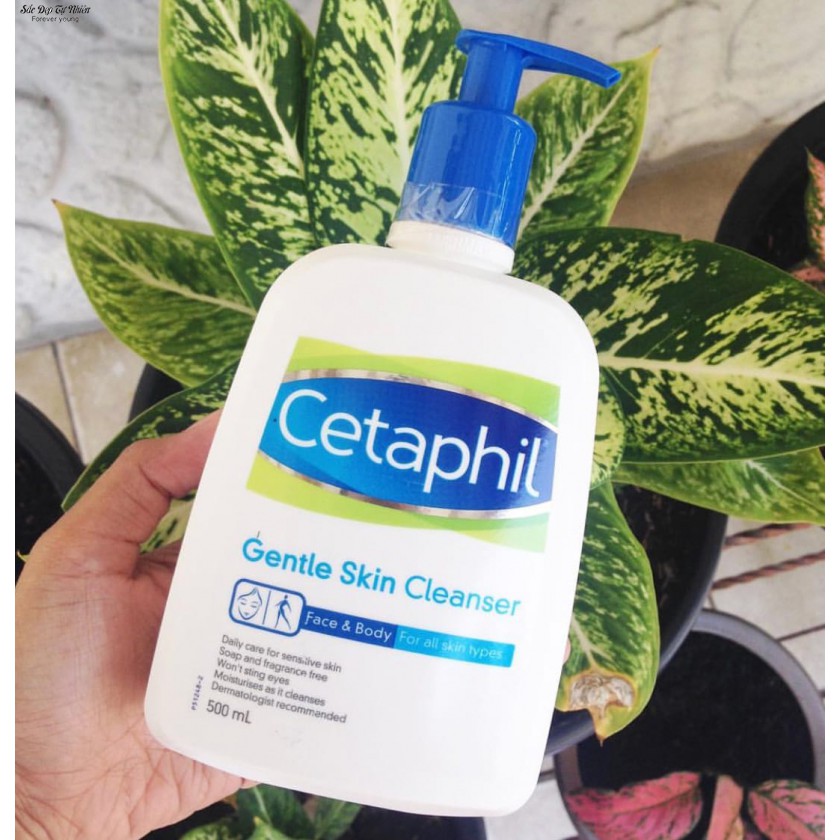 CETAPHIL Dưỡng ẩm và dịu nhẹ cho da