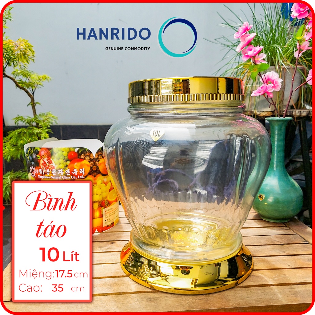Bình ngâm rượu thủy tinh sâm Hàn Quốc 10L hình Táo - HANRIDO. Phóng sâm - Sang trọng - Sức khỏe
