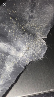 Lột mụn mũi clear spar