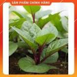 VNUA -  HẠT GIỐNG MÙNG TƠI ĐỎ GÓI 2,5 GRAM