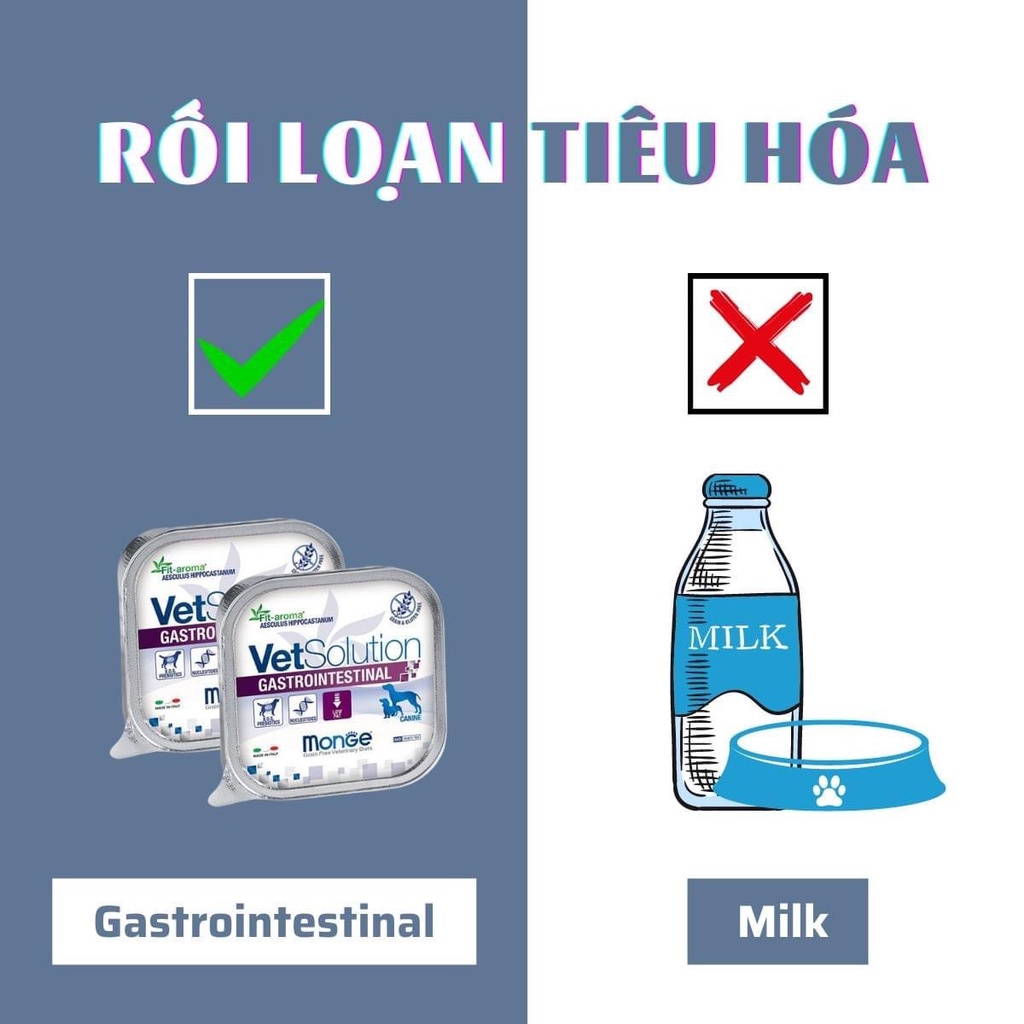 Pate giảm tiêu chảy, rối loạn tiêu hóa trên chó mèo (Monge, Ý)