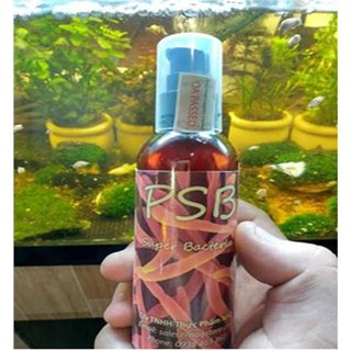 Men vi sinh sống PSB cho cá cảnh